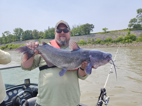 Channel Catfish