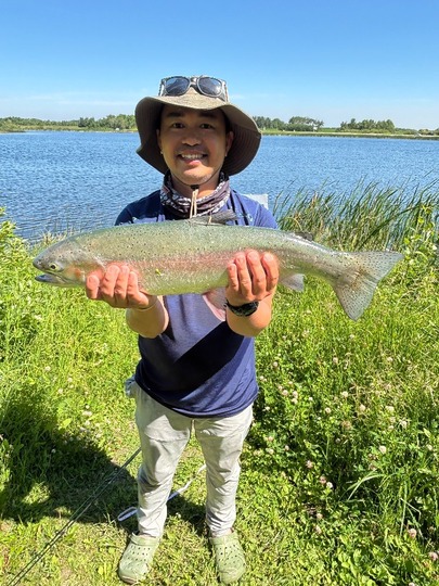 Rainbow Trout
