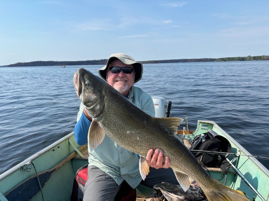 Lake Trout