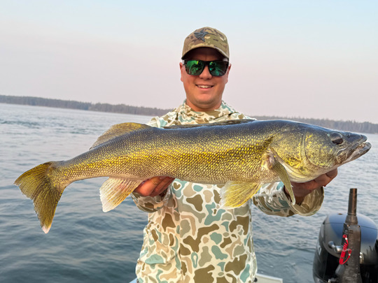 Walleye