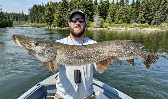 Northern Pike
