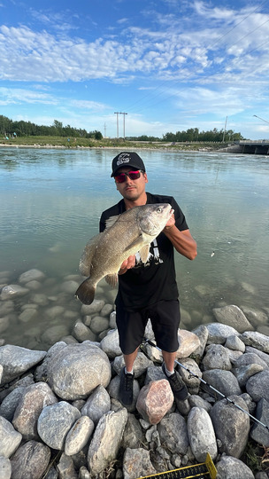 Freshwater Drum