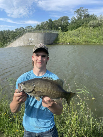 Smallmouth Bass