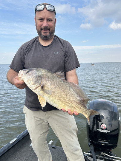 Freshwater Drum