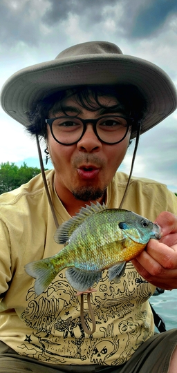 Sunfish