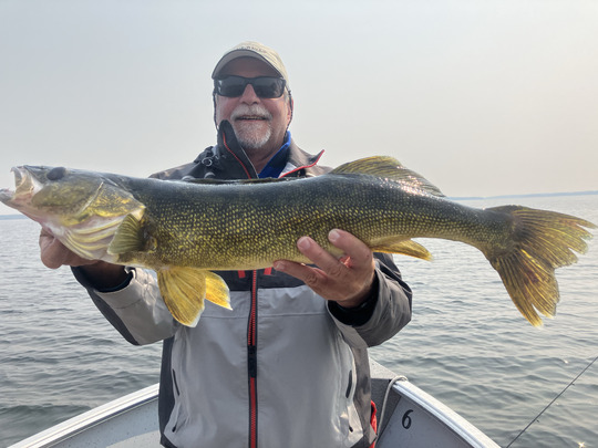 Walleye