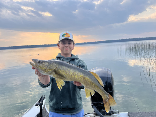 Walleye