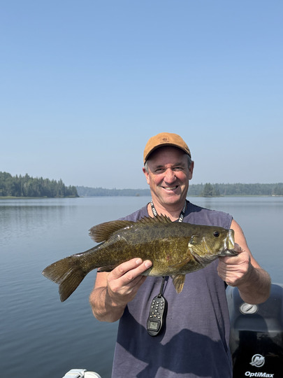 Smallmouth Bass