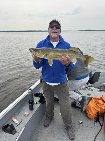 Walleye
