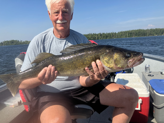 Walleye