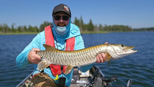 Muskellunge
