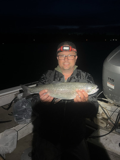 Rainbow Trout