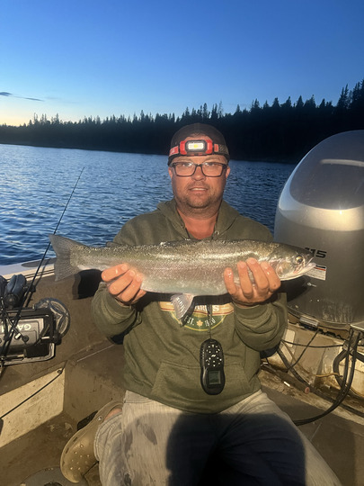 Rainbow Trout