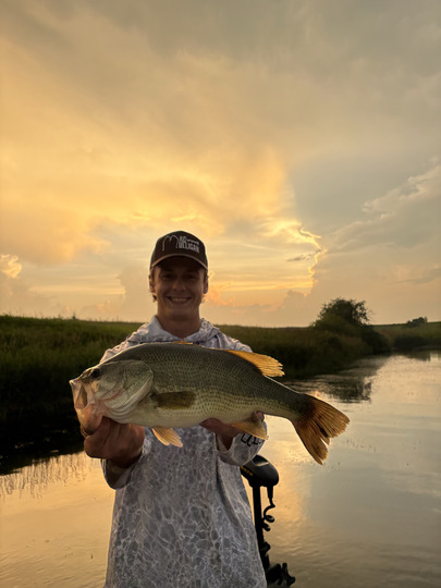 Largemouth Bass