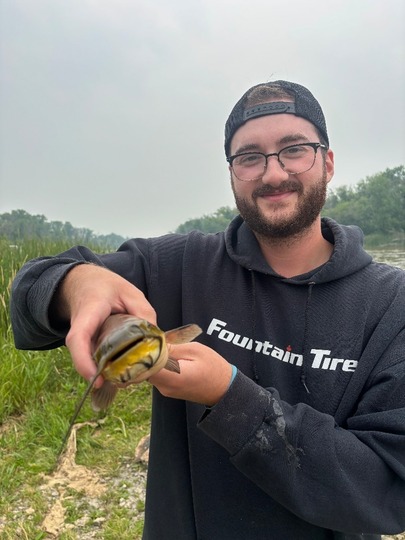 Bullhead