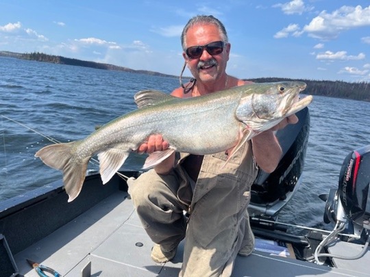 Lake Trout