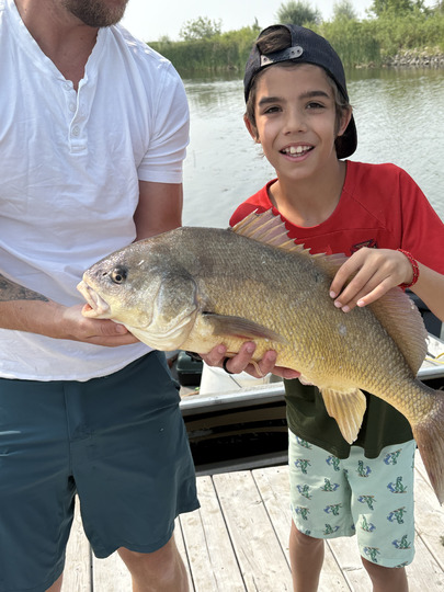 Freshwater Drum