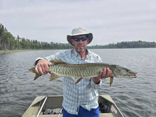 Muskellunge