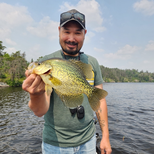 Black Crappie