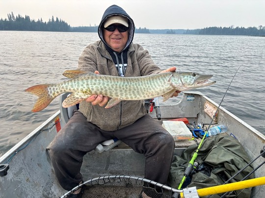 Muskellunge