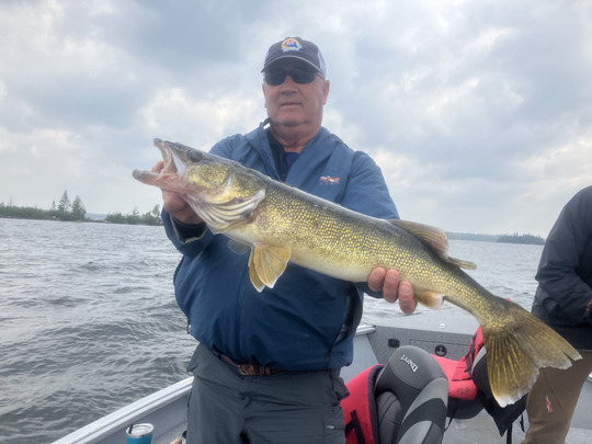 Walleye