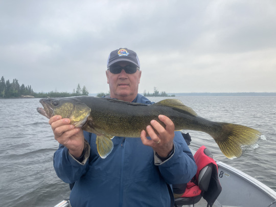 Walleye