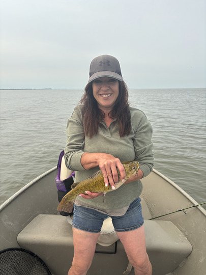 Bullhead
