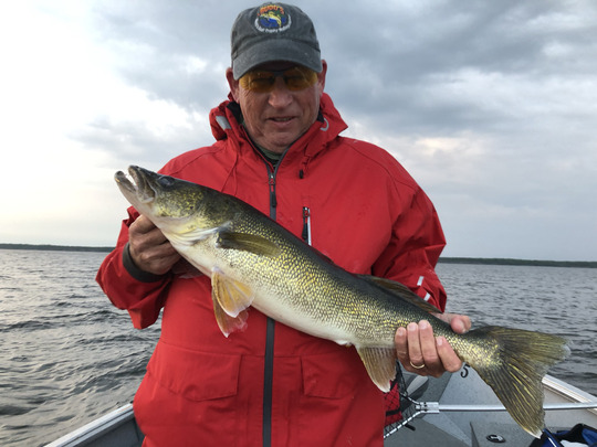 Walleye