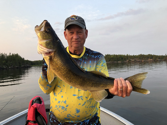 Walleye