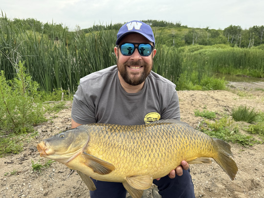 Common Carp