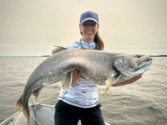 Lake Trout