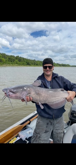 Channel Catfish