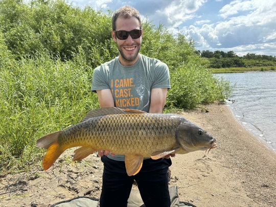 Common Carp