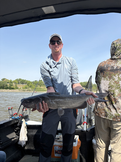 Channel Catfish