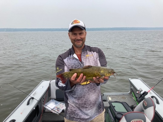 Bullhead