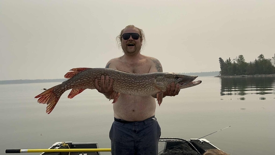 Northern Pike