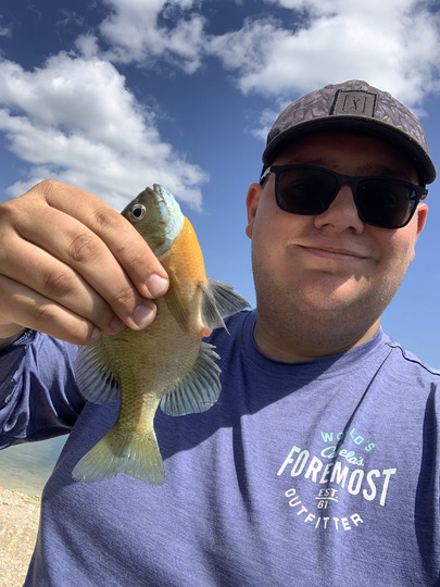 Sunfish