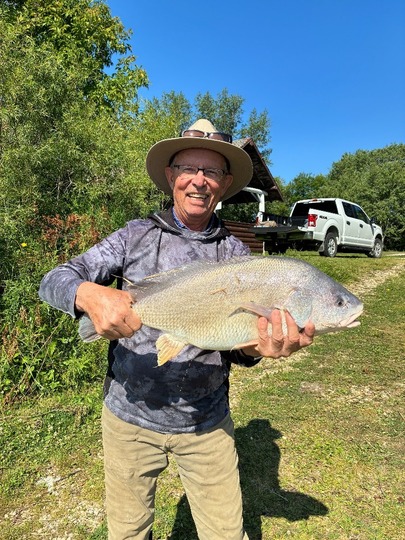 Freshwater Drum