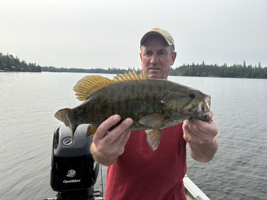 Smallmouth Bass