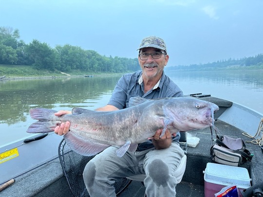 Channel Catfish
