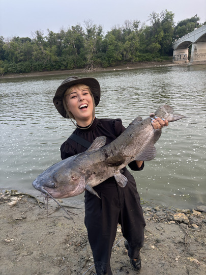 Channel Catfish