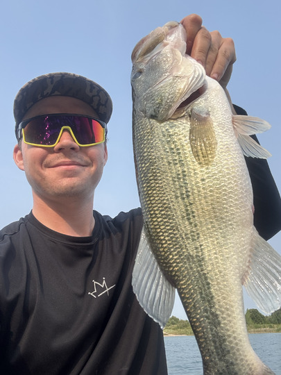 Largemouth Bass