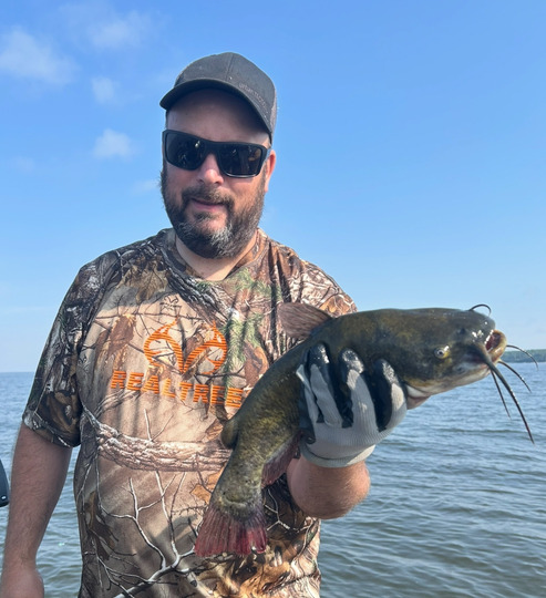Bullhead