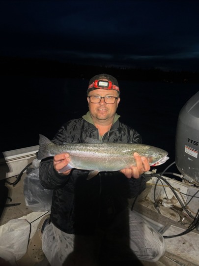 Rainbow Trout