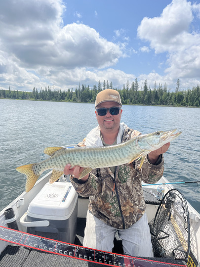 Muskellunge