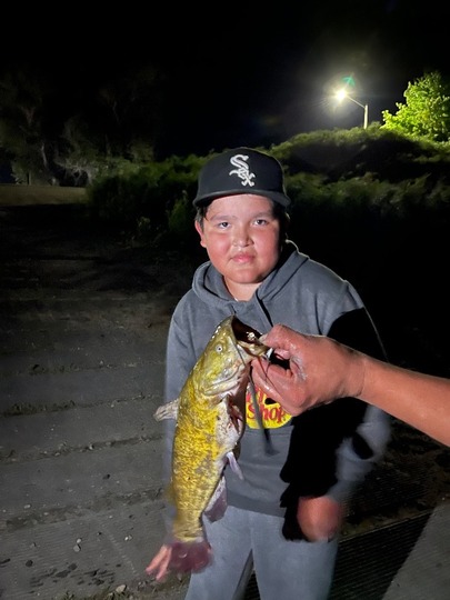 Bullhead