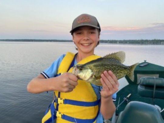 Black Crappie