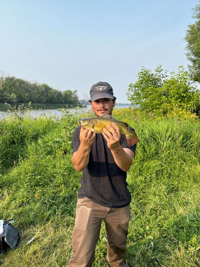 Bullhead