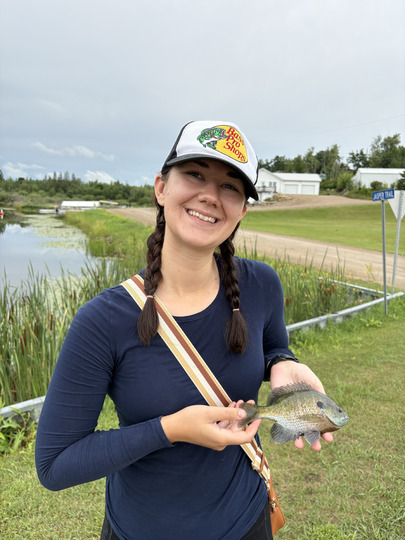 Sunfish