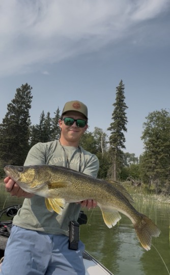 Walleye